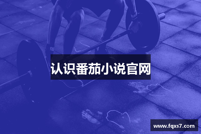 认识番茄小说官网